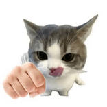 1005004823