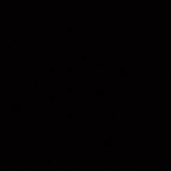 1090728019